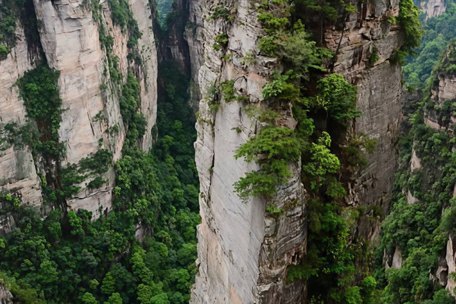 Zhangjiajie