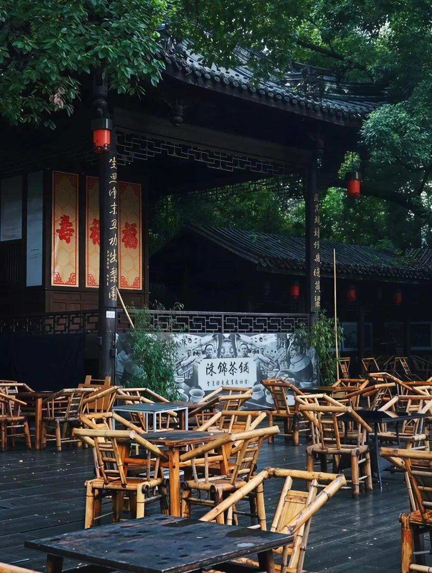 Covered-bowl tea at a Chengdu teahouse