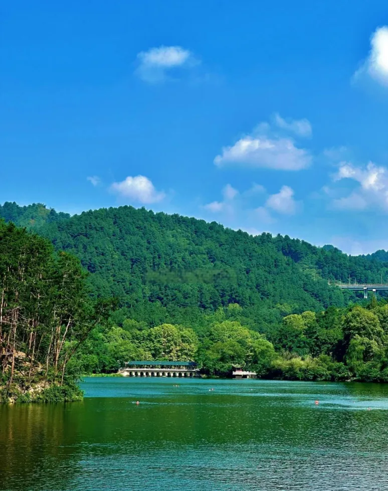 Wild macaques at Qianling Mountain Park, Guiyang