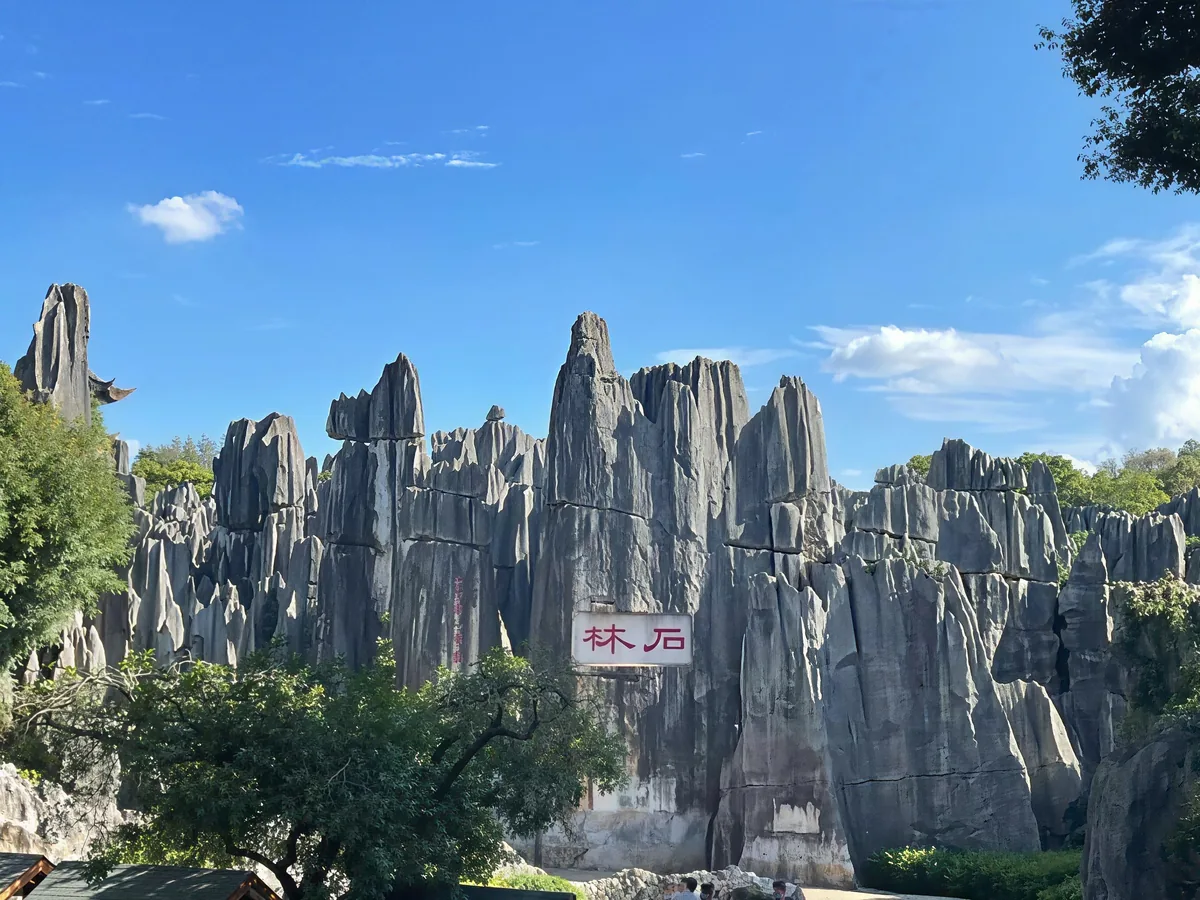The limestone pinnacles of the Stone Forest, Kunming