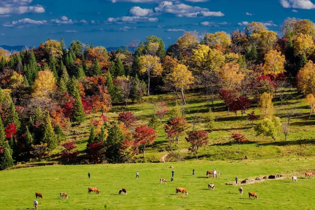 Huashan Valley alpine meadow in autumn