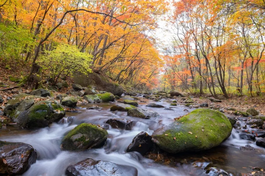 Laobiangou red leaves over jade stream
