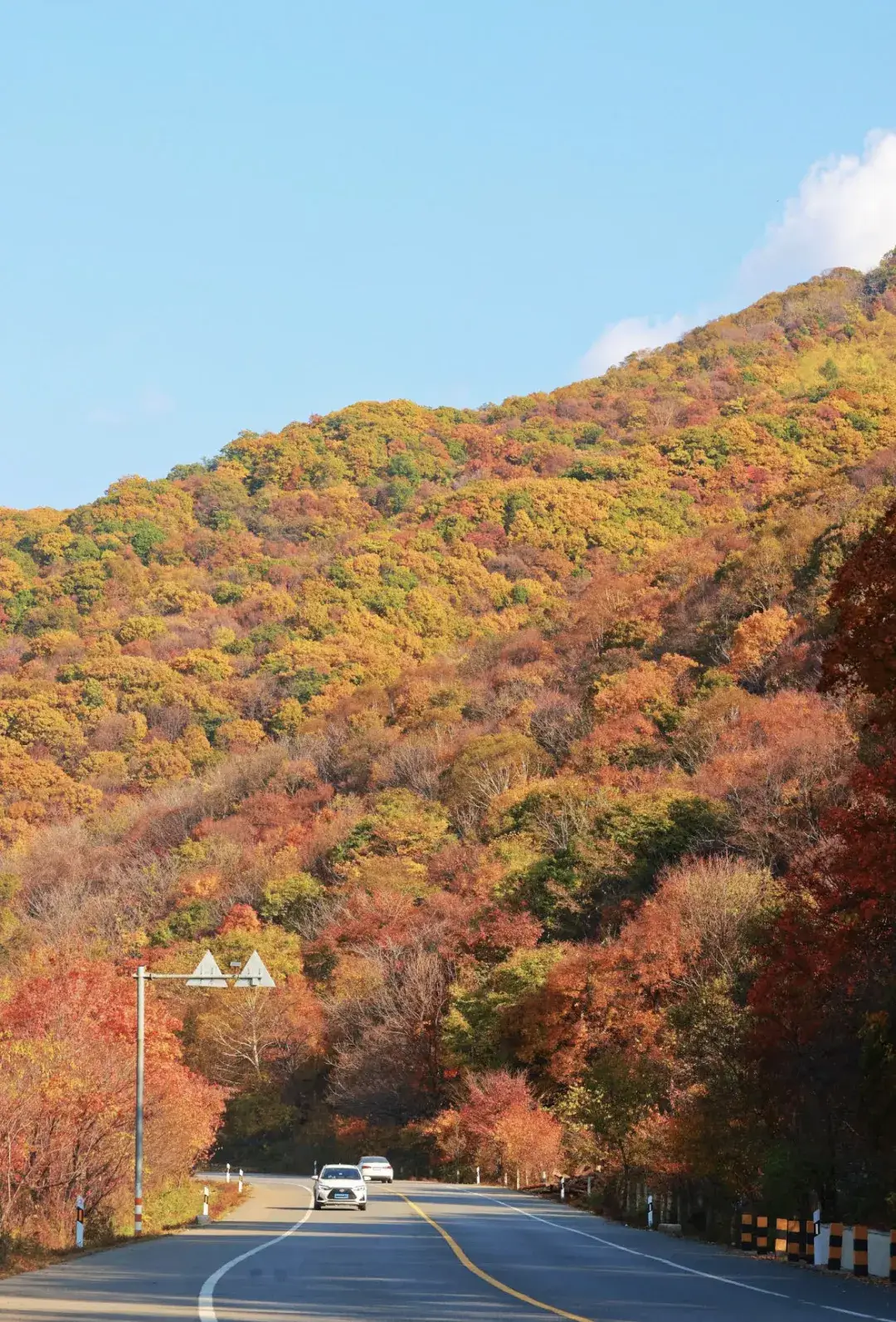 Laobiangou stream valley maple forest